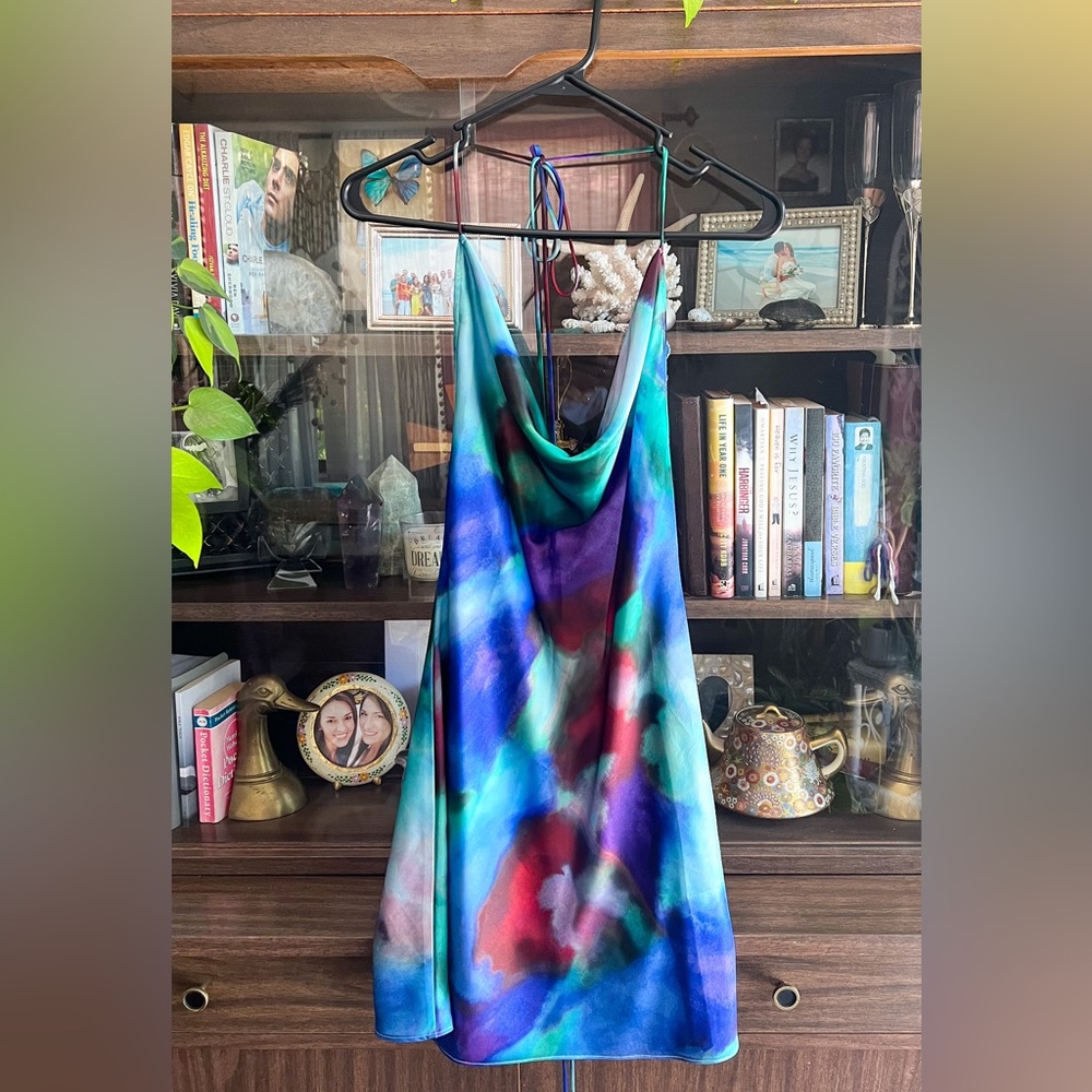 Colorful Karina Rat and Boa mini dress.